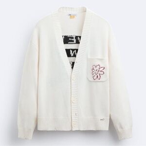 NWT ZARA PEPO MORENO Men’s sweater